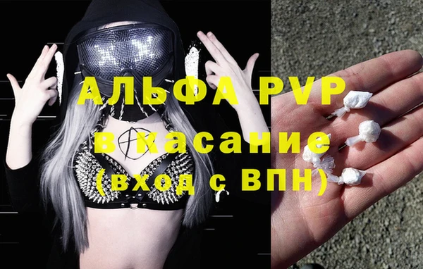 гашик Медногорск