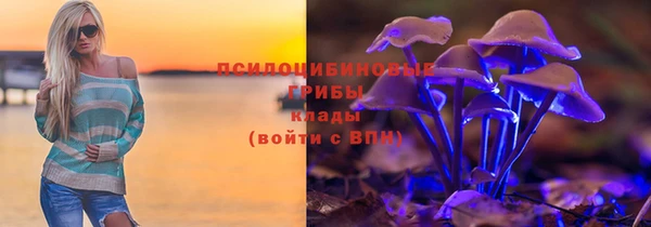 сатива Алагир