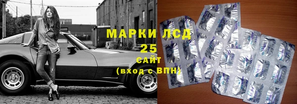 гашик Медногорск