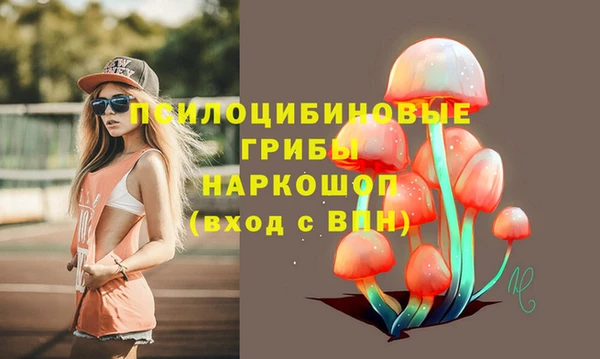 ECSTASY Медвежьегорск