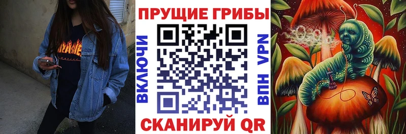 Галлюциногенные грибы Psilocybe  МЕГА рабочий сайт  Энгельс  наркошоп 